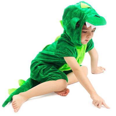 61 Kindergarten Children's Animal Costumes