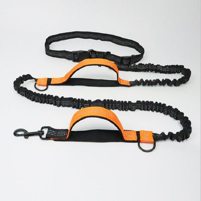 "Multifunctional Pet Traction Rope for Safe Walking & Training" Pet Products Pet Traction Rope Multifunctional